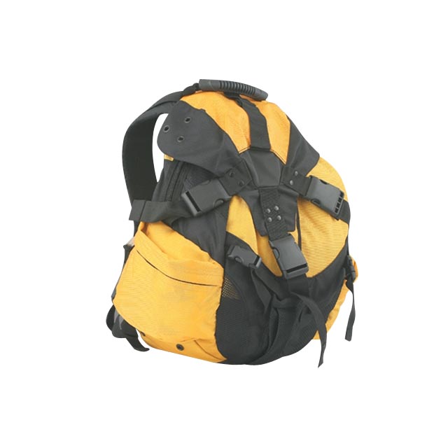 Travel Backpack